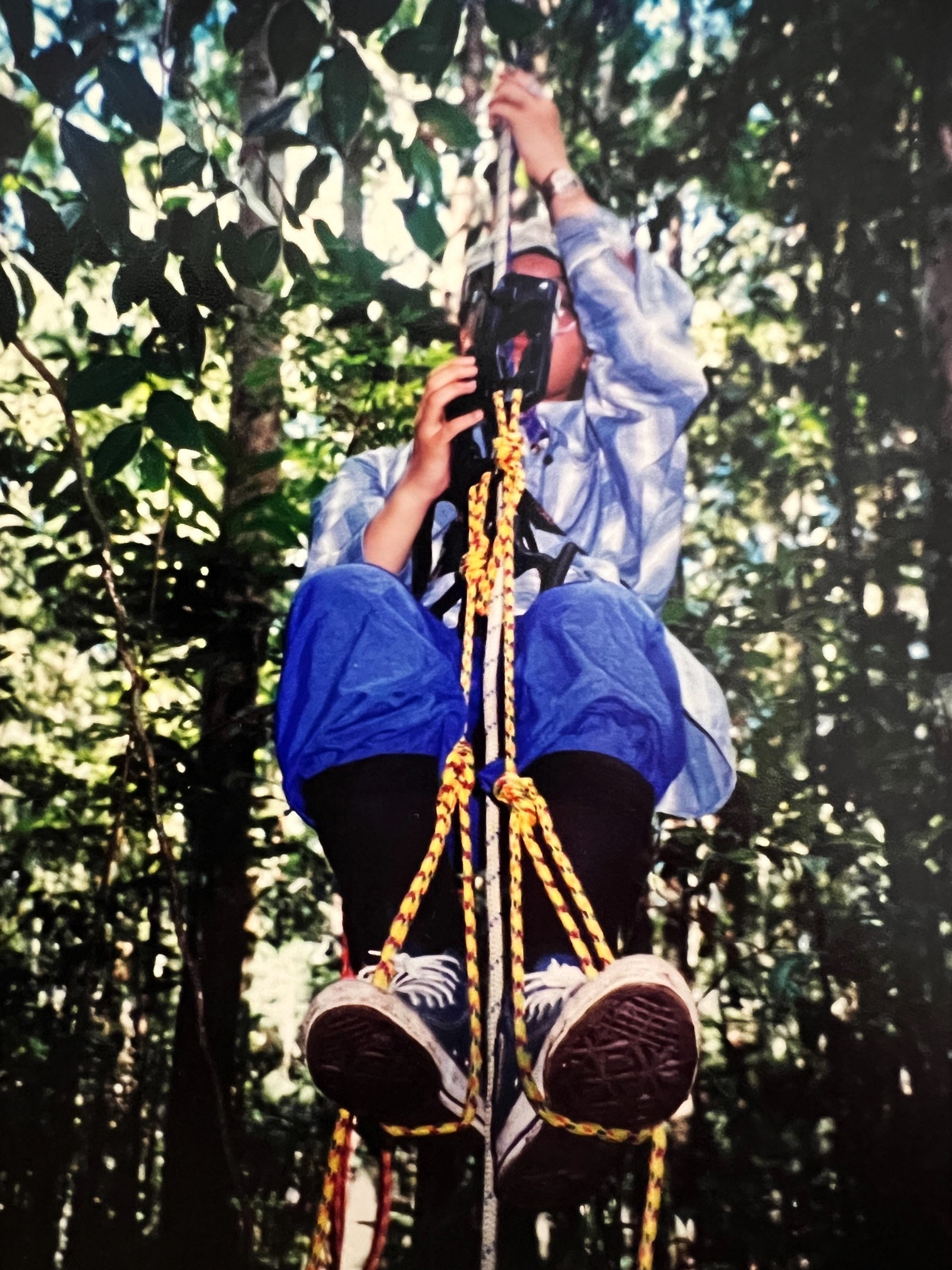 climbing tree